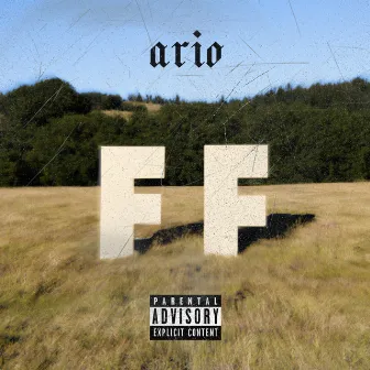 2f by Ario