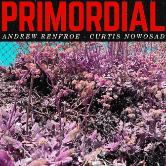 PRIMORDIAL by Curtis Nowosad