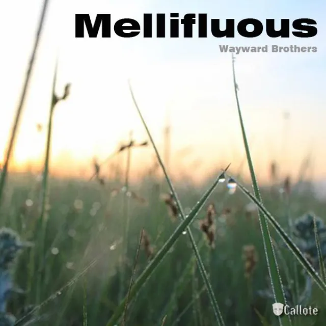 Mellifluous