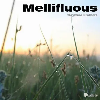 Mellifluous by Wayward Brothers