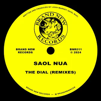 The Toucan (Coco Cole Remix) by Saol Nua