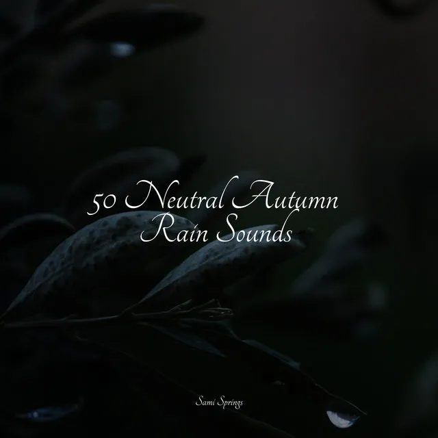 50 Neutral Autumn Rain Sounds