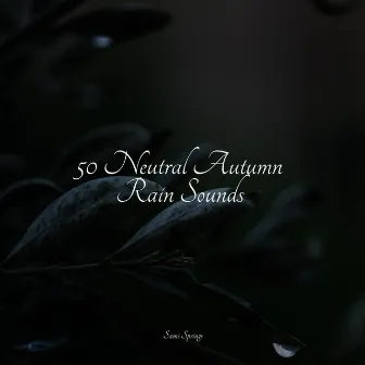 50 Neutral Autumn Rain Sounds by Massagem