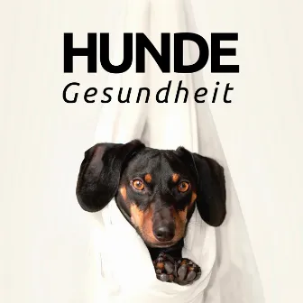 Hunde Gesundheit - entspannende Musik für Hunde CD by Schlaf Musik Prime