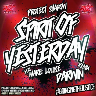 Spirit Of Yesterday (Darwin Remix) by Project Shadow