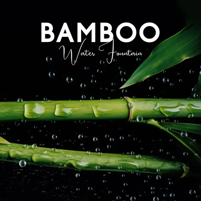 Bamboo Water Fountain: Healing Zen Music with Soothing Flowing Water Sound for Deep Relaxation, Zen Ambience for Sleep & Meditation