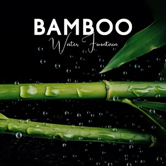 Bamboo Water Fountain: Healing Zen Music with Soothing Flowing Water Sound for Deep Relaxation, Zen Ambience for Sleep & Meditation by Patrick Keys