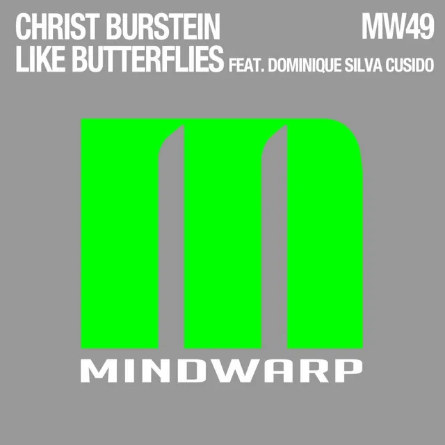 Like Butterflies - Chris Fortier Remix