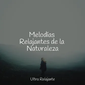 Melodías Relajantes de la Naturaleza by Sueños Triplete