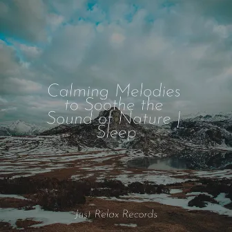 Calming Melodies to Soothe the Sound of Nature | Sleep by Dog Music