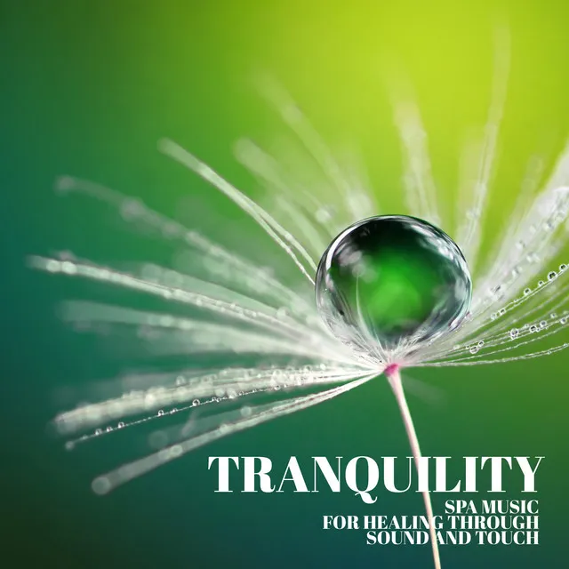 Tranquility Spa Music for Healing Through Sound and Touch - Relaxing Music for Stress Relief, Zen Therapy and Calm Music for Meditation, Sleep, Relax