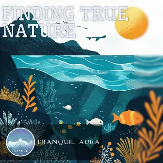 Finding True Nature by Tranquil Aura