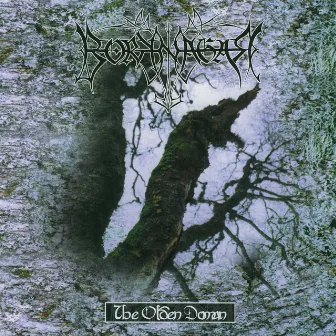 The Olden Domain by Borknagar