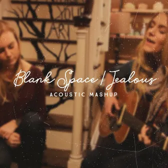 Blank Space / Jealous (Acoustic Mashup) by Jaclyn Davies