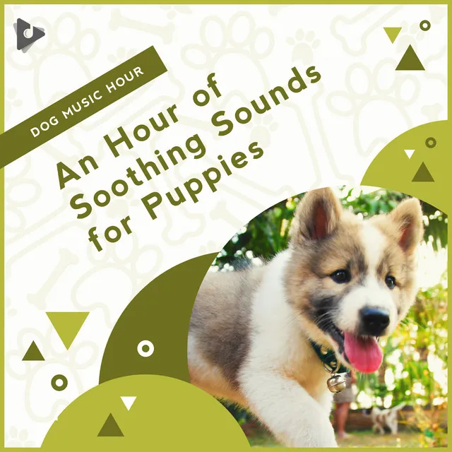 Peaceful Music for Dogs