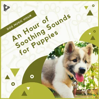 An Hour of Soothing Sounds for Puppies by Relaxing Music for Dogs