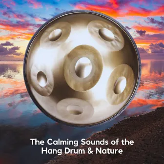 The Calming Sounds of the Hang Drum & Nature by Hang Drum