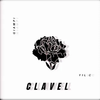 Clavel by Giampi