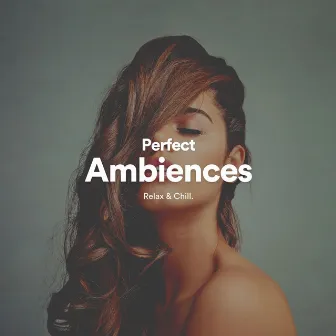 Perfect Ambiences by Ambient Music by Relax & Chill