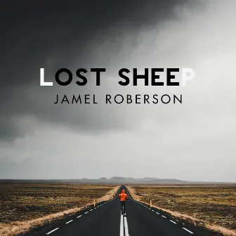 Lost Sheep by Jamel Roberson