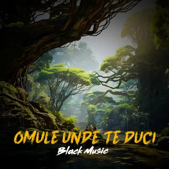 Omule Unde Te Duci by Black Music