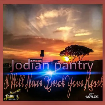 I Will Never Break Your Heart by Jodian Pantry