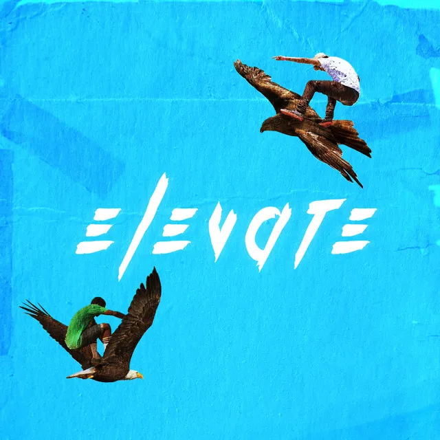 Elevate