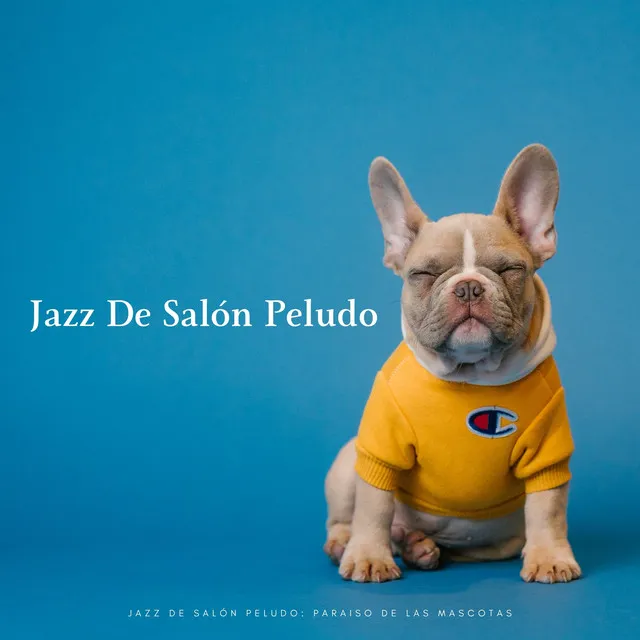 Jazz De Salón Peludo: Paraiso De Las Mascotas