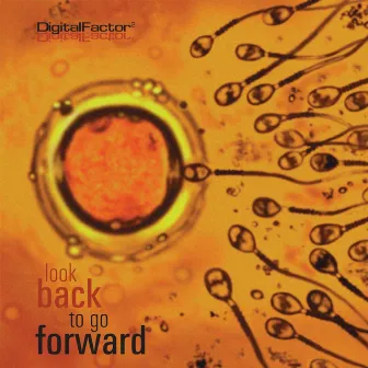 Look Back To Go Forward by Digital Factor