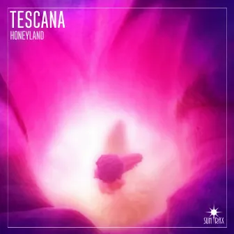 Honeyland by Tescana