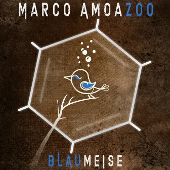 Blaumeise by Marco Amoazoo