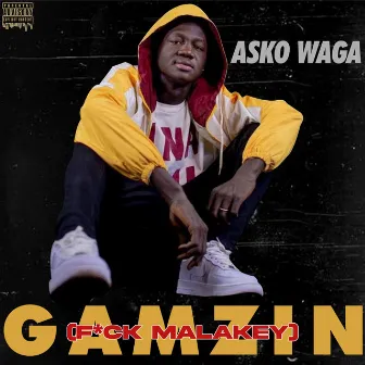 Gamzin (f*ck Malakey) by Asko Waga