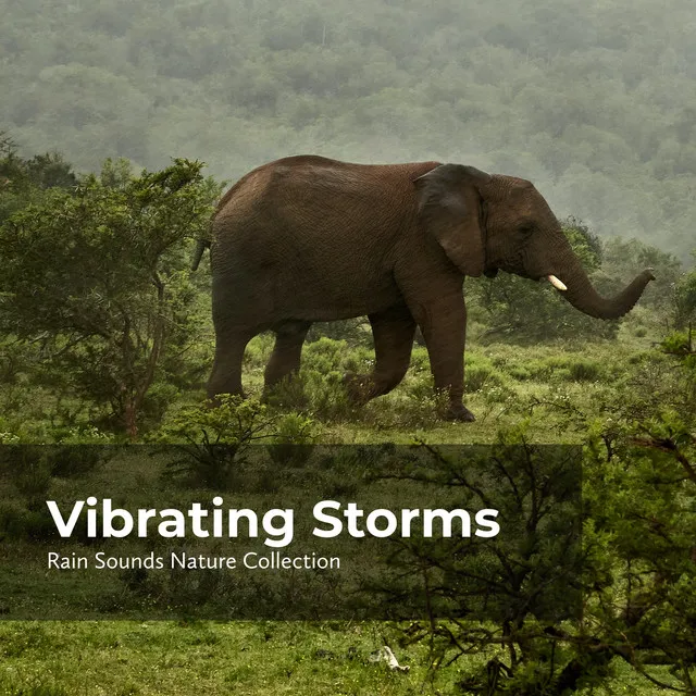 Vibrating Storms