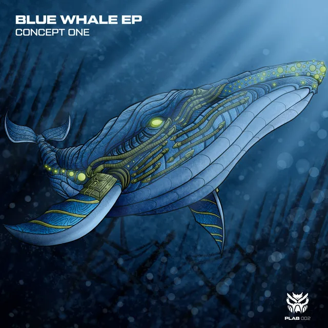 Blue Whale