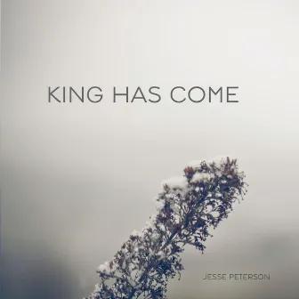 King Has Come by Jesse Peterson