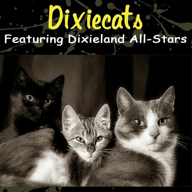 Dixiecats