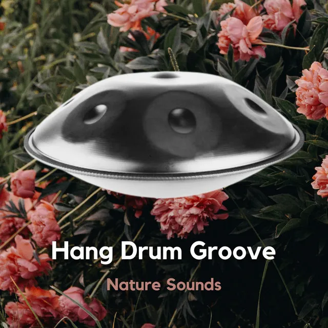 Relaxing Hang Drum Nature