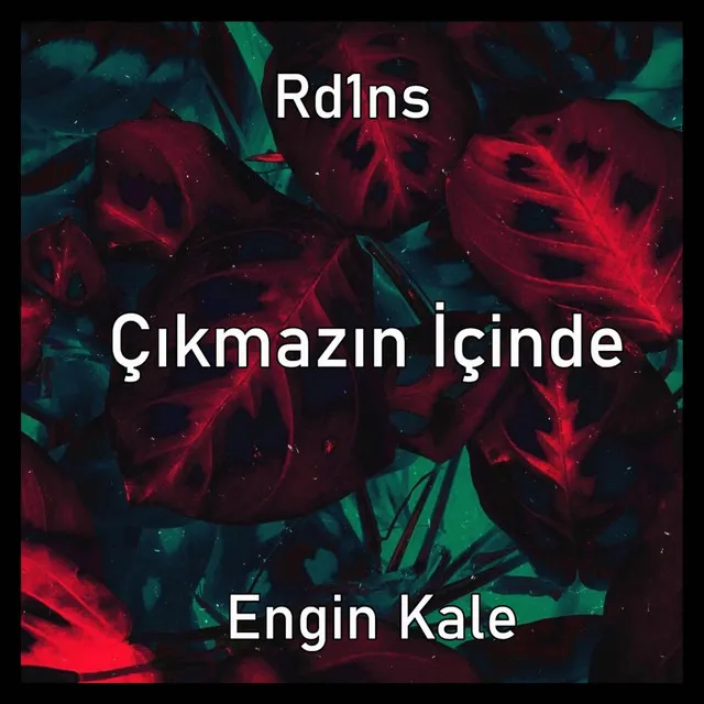 Çıkmazın İçinde