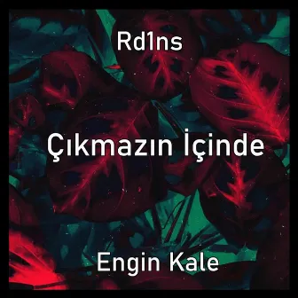 Çıkmazın İçinde by Rd1ns