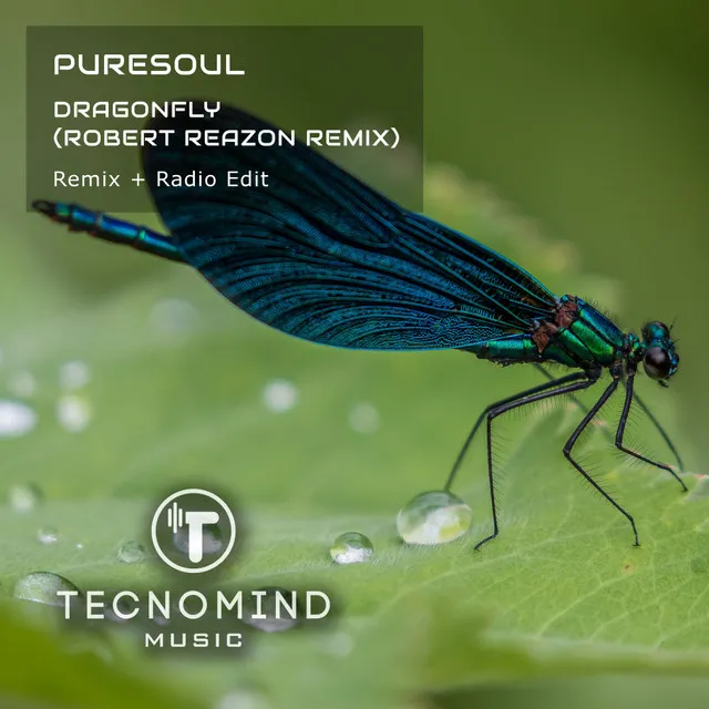 Dragonfly - Robert Reazon Remix