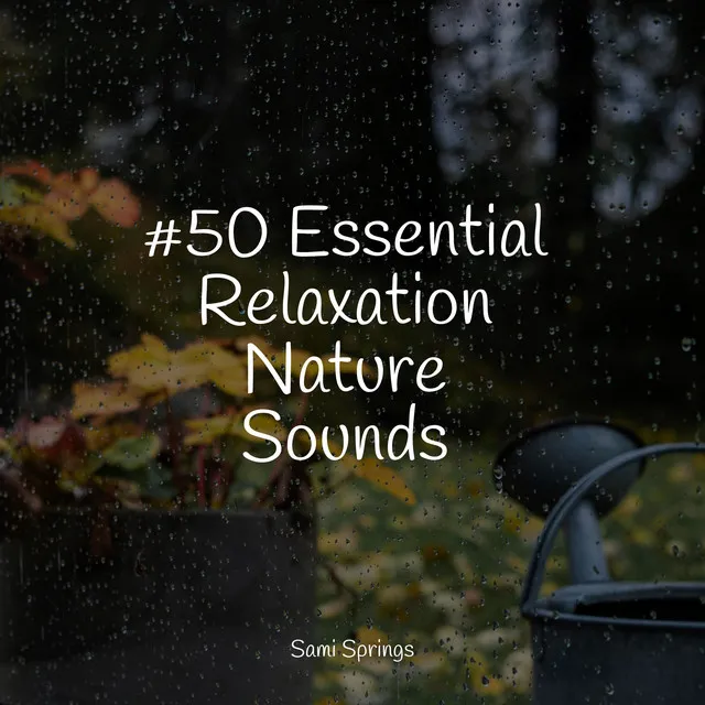 #50 Essential Relaxation Nature Sounds