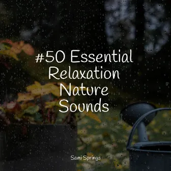 #50 Essential Relaxation Nature Sounds by Calming Sounds