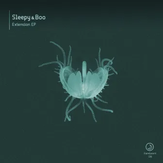 Extension EP by Sleepy & Boo