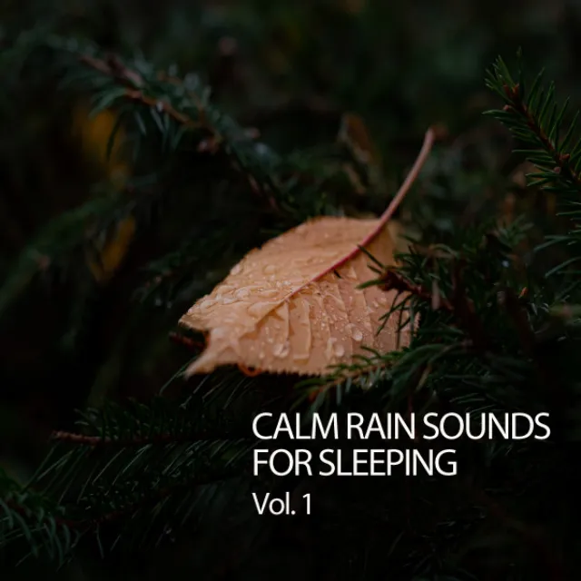 Calm Rain Sounds For Sleeping Vol. 1