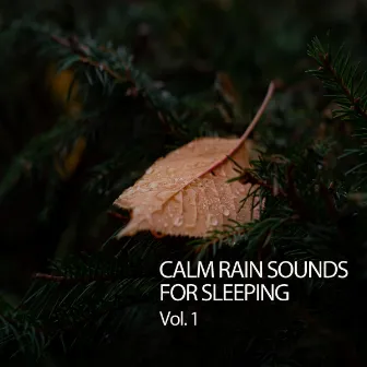 Calm Rain Sounds For Sleeping Vol. 1 by Ultimate Sleep Experience