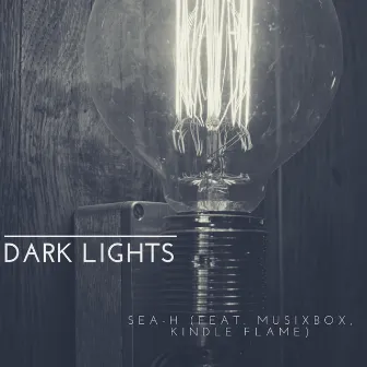 Dark Lights by SEA-H