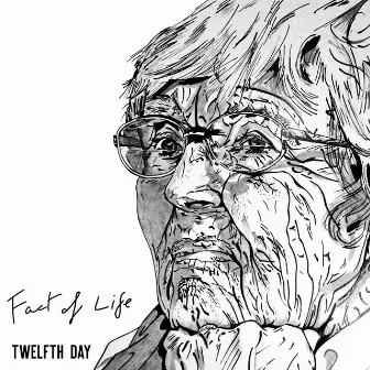 Fact of Life (Radio Edit) by Twelfth Day