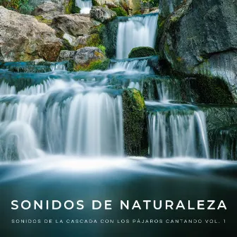 Sonidos De Naturaleza: Sonidos De La Cascada Con Los Pájaros Cantando Vol. 1 by Sonidos De Agua