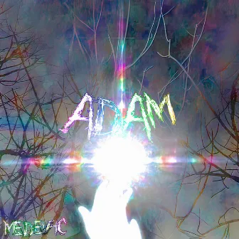 ADAM by MEDEV4C