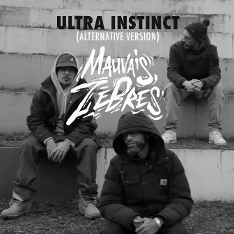 Ultra Instinct (Alternative version) by Mauvais Zèbres